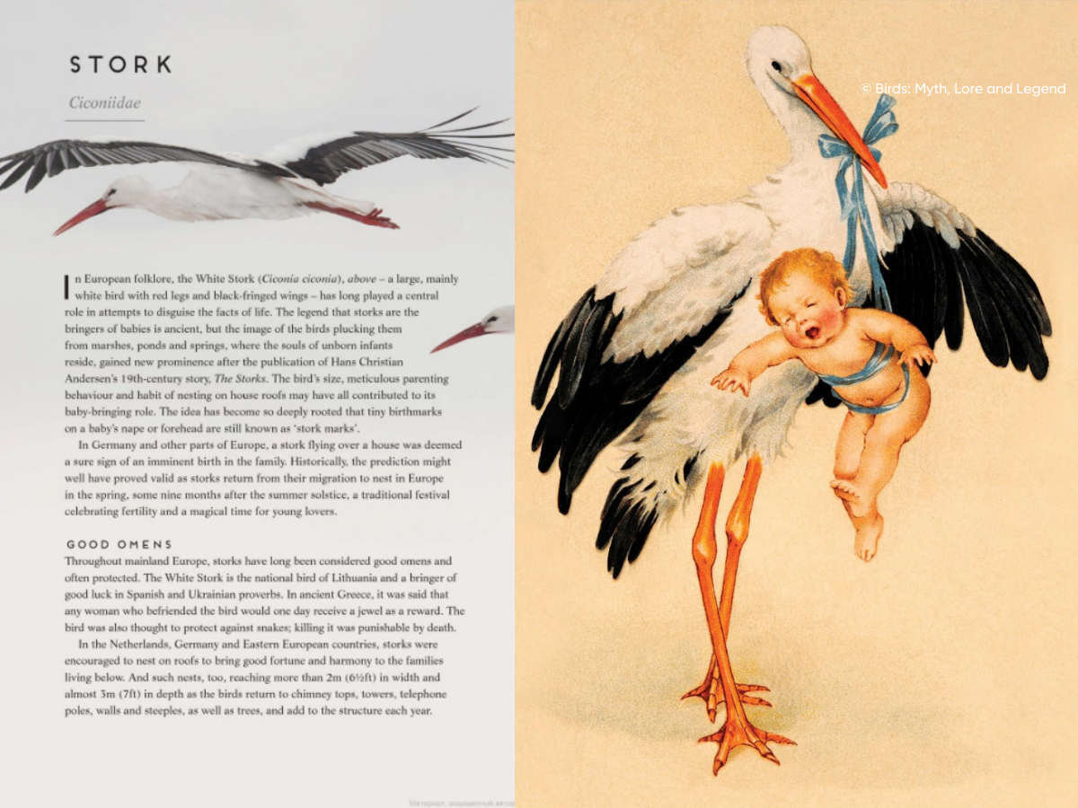 Әйелдермен жыныстық қатынас Клуб кешінің порно видеосы